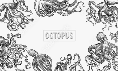 Sea octopus Background. Engraved hand drawn in old sketch, vintage creature. Nautical or marine, monster. Animal in the ocean. Template for logos, labels and emblems. Banner poster template.