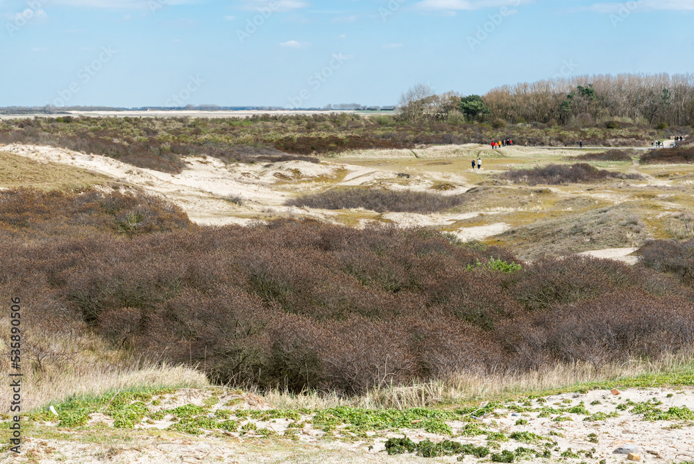 View over the dunes and plants of the nnature park Zwin