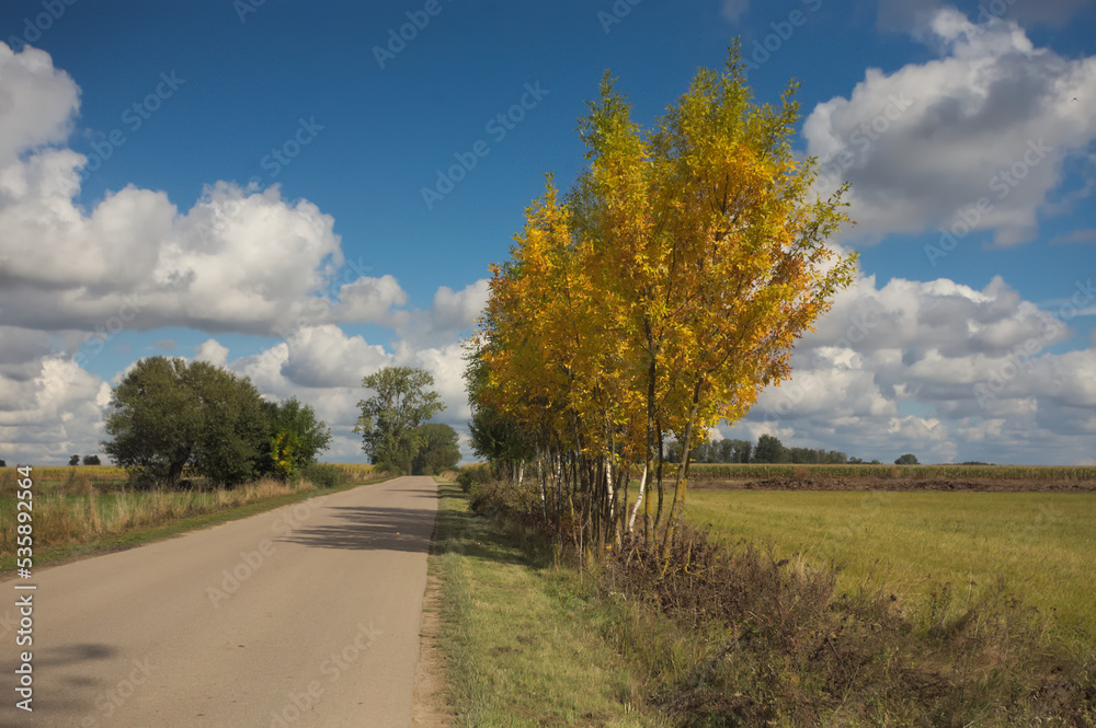 road in autumn