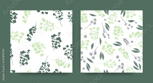 Summer Eucalyptus Pattern. Nature Foliage Texture. Tropical Fabric Design. Seamless Eucalyptus Patterns Set. Fern Leafs Background. Romantic Wedding Invitation. Vector Eucalyptus Pattern.