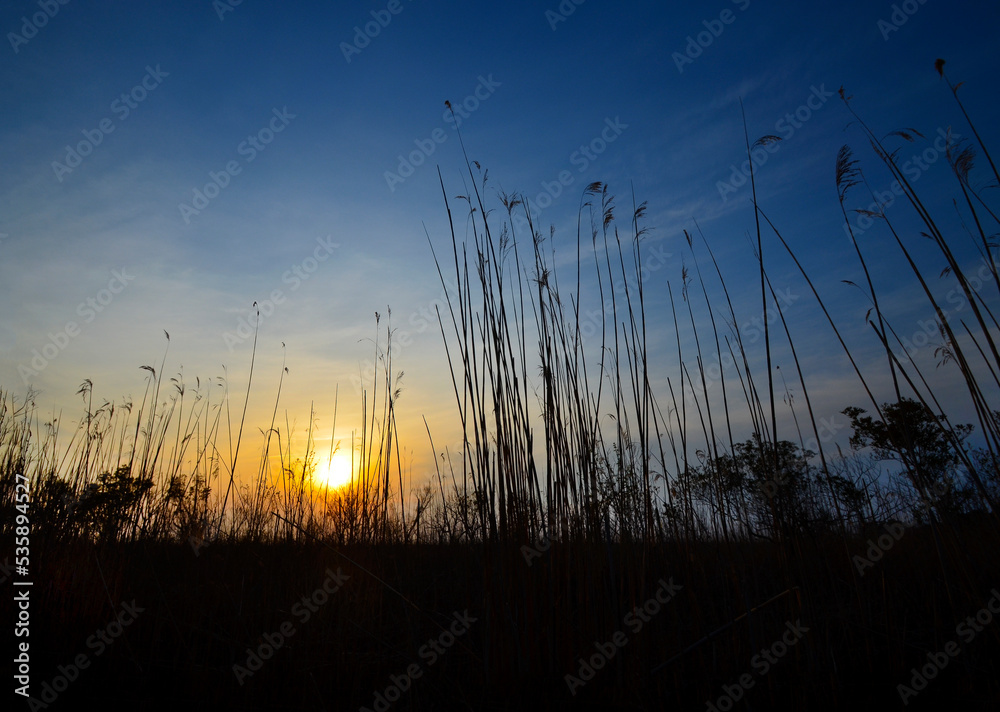 Sunset at Currituck Marsh, North Carolina