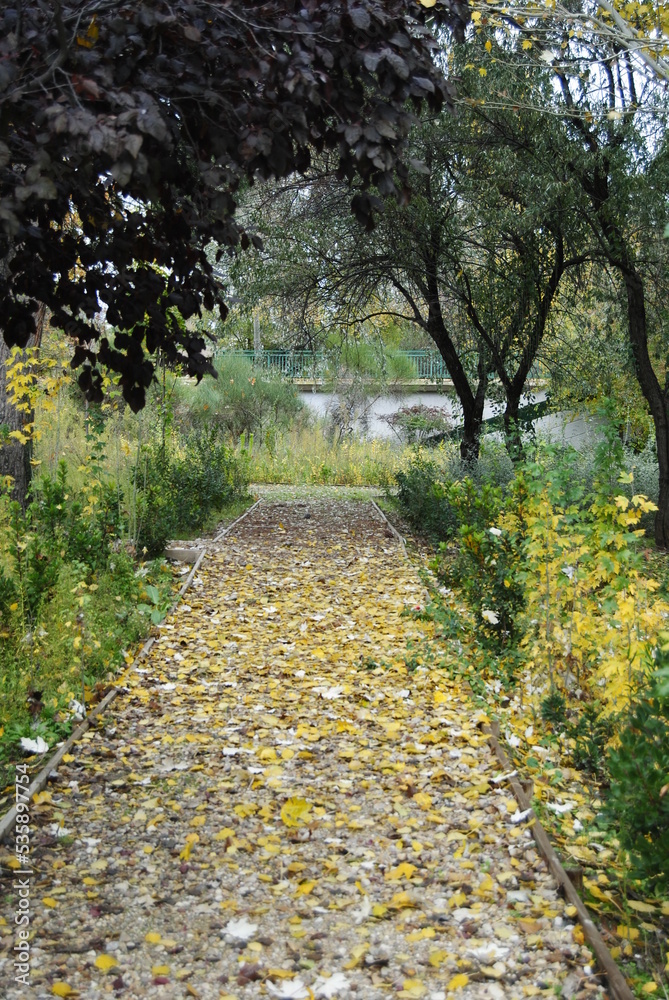 Fototapeta premium path in the park
