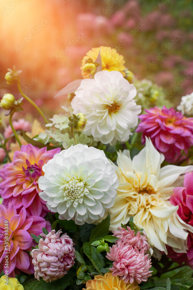 Fototapeta premium Kompozycja kwiatowa z kwiatów dalii, astrów i hortenji w ogrodzie, bukiet kwiatów, bouquet of flowers