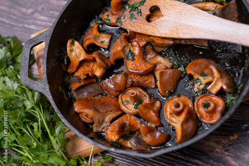 Lactarius deliciosus - the most sought-after edible mushrooms. photo