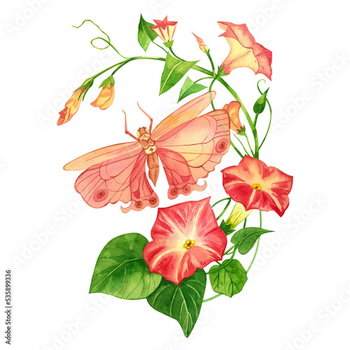 A watercolor composition of a pink butterfly and a pink bindweed painted by hand in watercolor on a white background is perfect for printing on fabric  invitations  scrapbooking