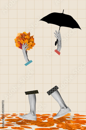 Vertical collage illustration of woman legs hands holding umbrella bunch autumn leaves collect herbarium walking enjoy nature relaxing
