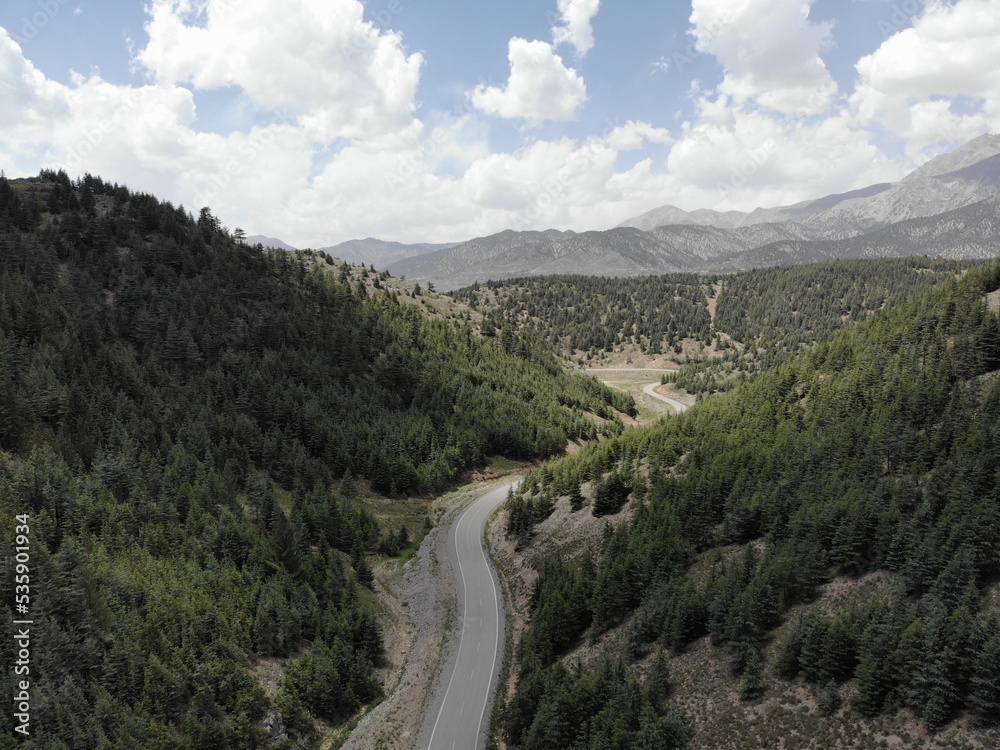 Fototapeta premium Aryoub Zazai district of Paktia Province of Afghanistan, Forest of Aryoub zazai
