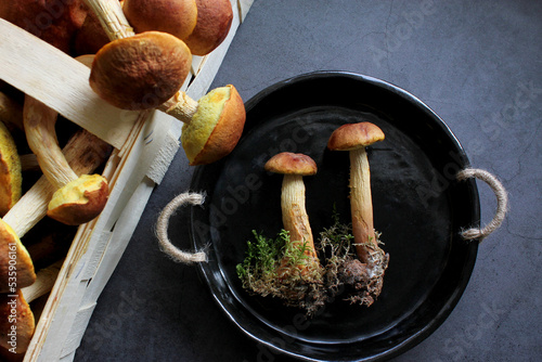 Aureoboletus projectellus mushrooms on dark background. Autumn concept. Flat lay, close up, copy space. photo