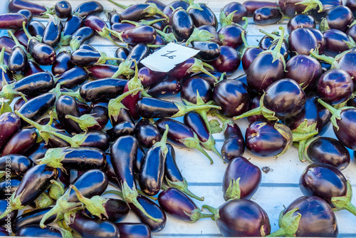 Eggplants at the market © kalpis
