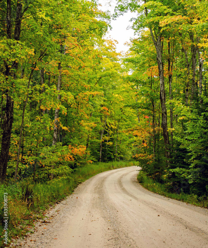 road in autumn forest photo