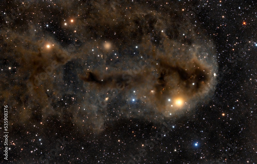 LDN 1251 Dark Nebula photo