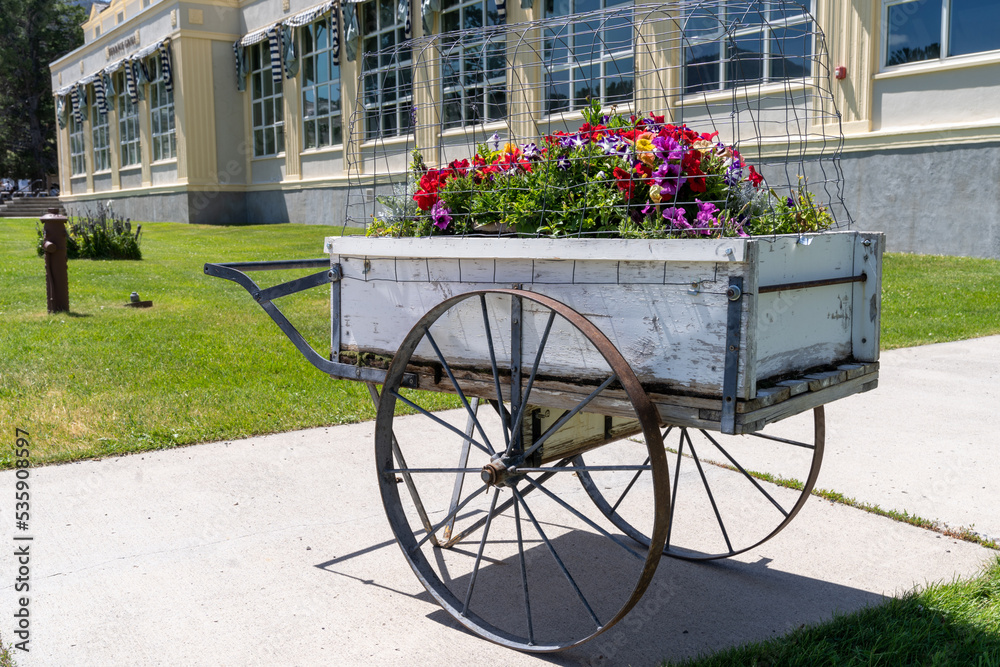 Pretty wagon flower cart, antique style, Taken in Yellowstone National Park Wyoming