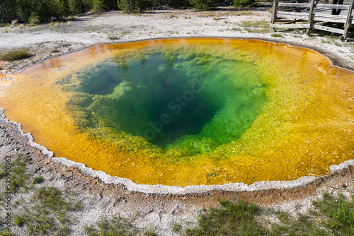 The colorful, famous Morning Glory pool hot spring in Yellowstone National Park USA