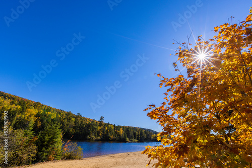 Spectacular autumn in Mont Tremblant  Quebec  Canada