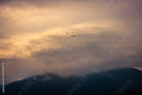 Flock of birds flying in orange sunset sky among clouds with mountain in clouds on background