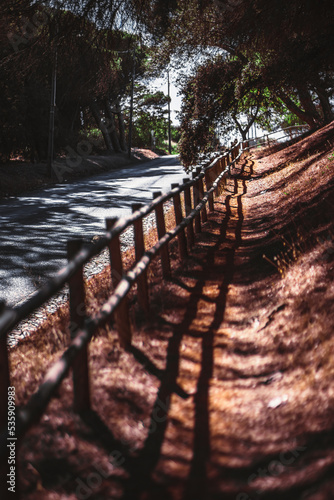 A vertical shot with a shallow depth of field and a selective focus on a part of forest road in the shade with a wooden fence casting a shadow on a footpath with yellowed grass on a warm autumn day