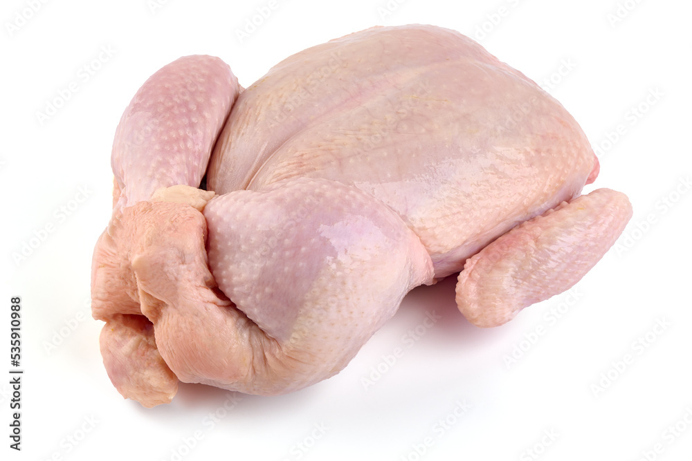 Raw whole chicken broiler, isolated on white background.
