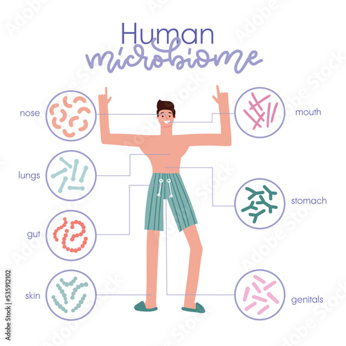 Different types of human microbiome. Infographic with a man character. Intestine, mouth, skin, genitals microflora with healthy probiotic bacteria. Flat medicine illustration of microbiology checkup.