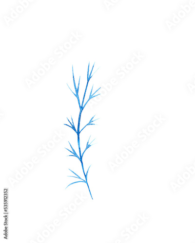 A prickly twig on a white background. Watercolor illustration.