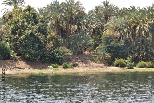 Nil     najd  u  sza rzeka   wiata   zycie na rzece