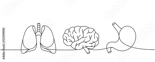 Set of human organs one line continuous drawing. Lungs, brain, stomach continuous one line illustration. Vector minimalist linear illustration.