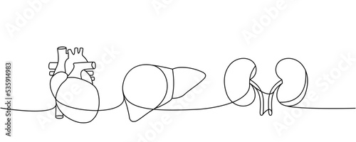 Set of human organs one line continuous drawing. Heart, liver, kidneys continuous one line illustration. Vector minimalist linear illustration.