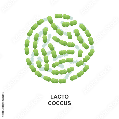 Lactococcus. Probiotic bacteria. Good bacteria and microorganism for human health. Vector illustration