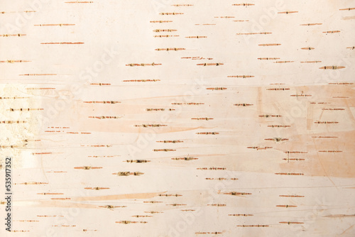 Canvastavla The texture of birch bark