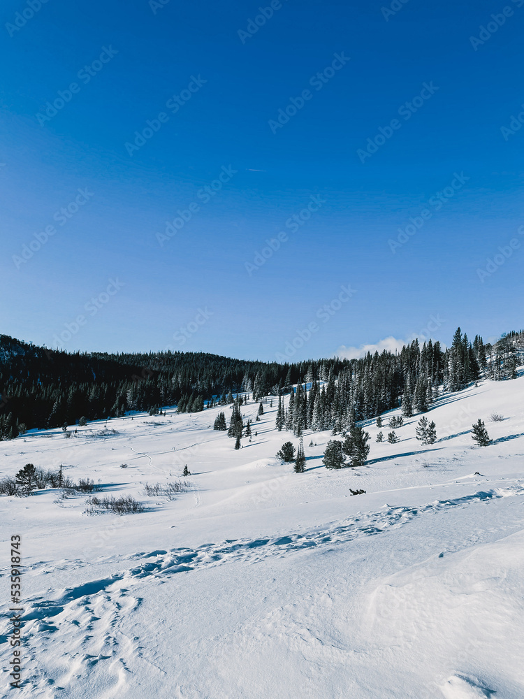 colorado winter mountain landscape