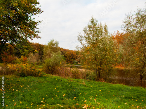 Photo of an autumn landscape. Forest  river