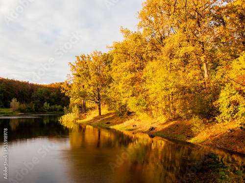 Photo of an autumn landscape. Forest  river