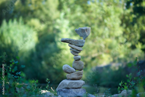 Fotografía stone flower