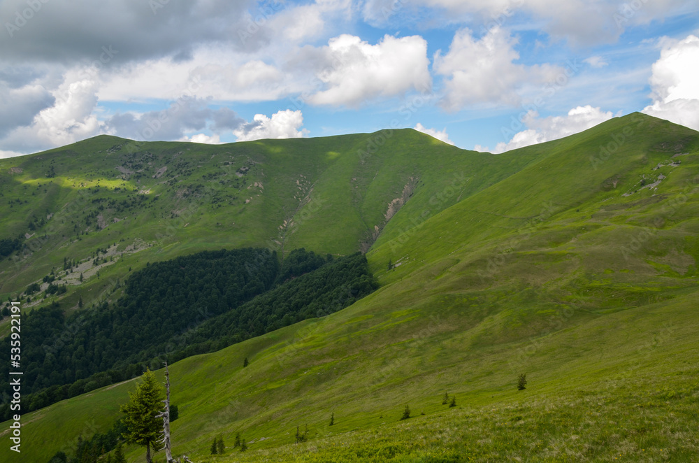 Beautiful bright landscape with grass green meadow and mountain slopes in summer. Carpathian Mountains, Ukraine