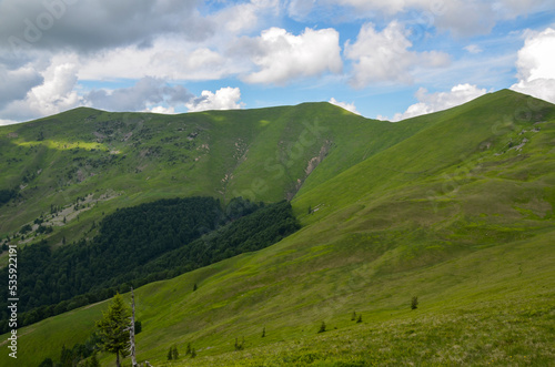 Beautiful bright landscape with grass green meadow and mountain slopes in summer. Carpathian Mountains, Ukraine