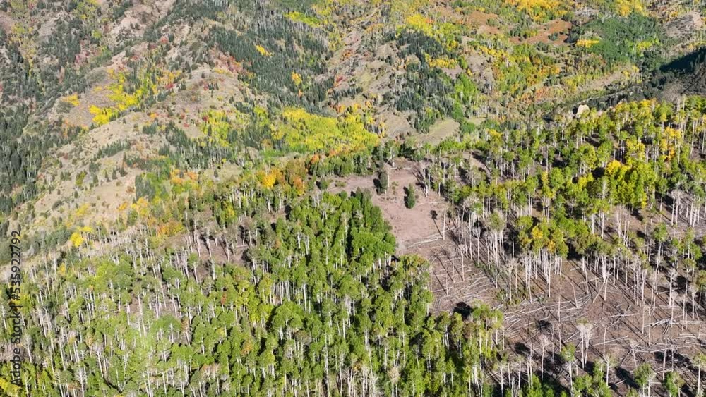 Aerial Autumn October colors mountain canyons fast. Beautiful season Autumn fall colors in Maple, Oak and Pine forest. Central Utah. Beautiful mountain canyon valley and trails. Travel destination.