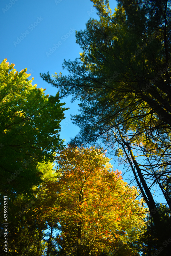 Fototapeta premium La plaine 5 octobre 2022
