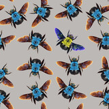 Lots of blue bumblebee and one yellow among them. One is not like everyone else, individuality, difference from others, all ordinary, one unusual, unique