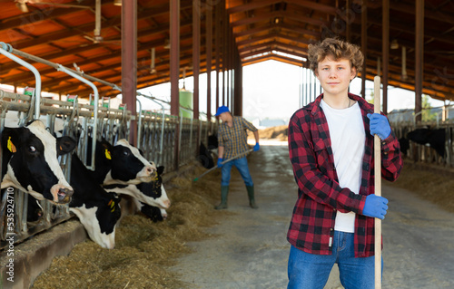 Portrait of confident smiling teen boy working in outdoor cowshed, standing with tool near stall with herd of cows
