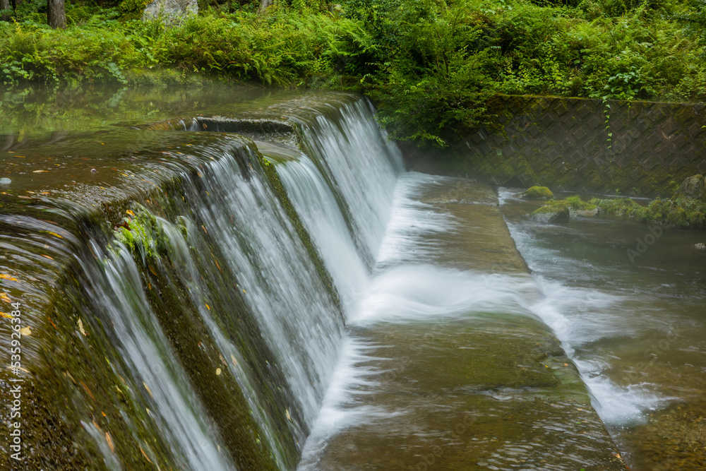 夏の八重谷湧水 夏の八重谷湧水