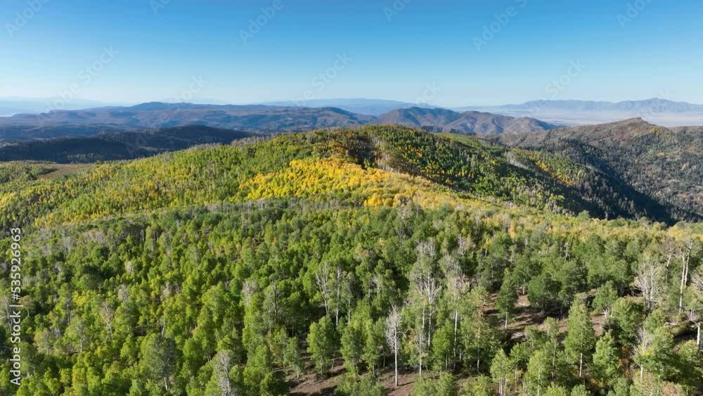 Aerial Autumn colors high mountain above fast motion. Beautiful season Autumn fall colors in Maple, Oak and Pine forest. Central Utah. Beautiful mountain canyon valley and trails. Travel destination.