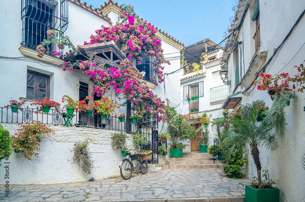 Narrow streets in the center of Estepona, typical Andalusian town in southern Spain Narrow streets in the center of Estepona, typical Andalusian town in southern Spain