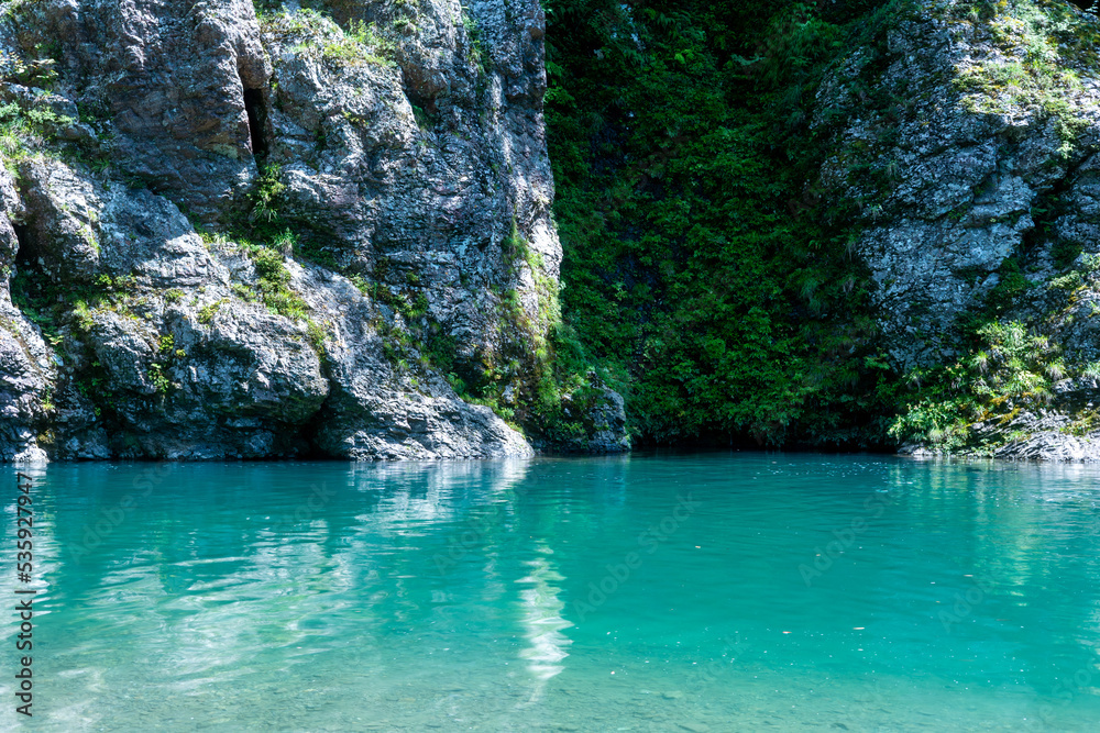 Fototapeta premium 夏の宮川