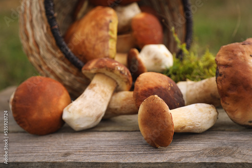 Fresh wild mushrooms on wooden table outdoors, closeup