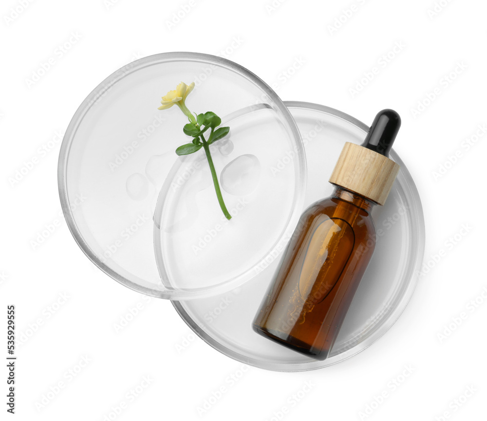 Petri dishes with cosmetic product and flower on white background, top view Petri dishes with cosmetic product and flower on white background, top view