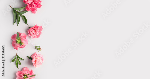 Beautiful peony flowers on light background with space for text, top view