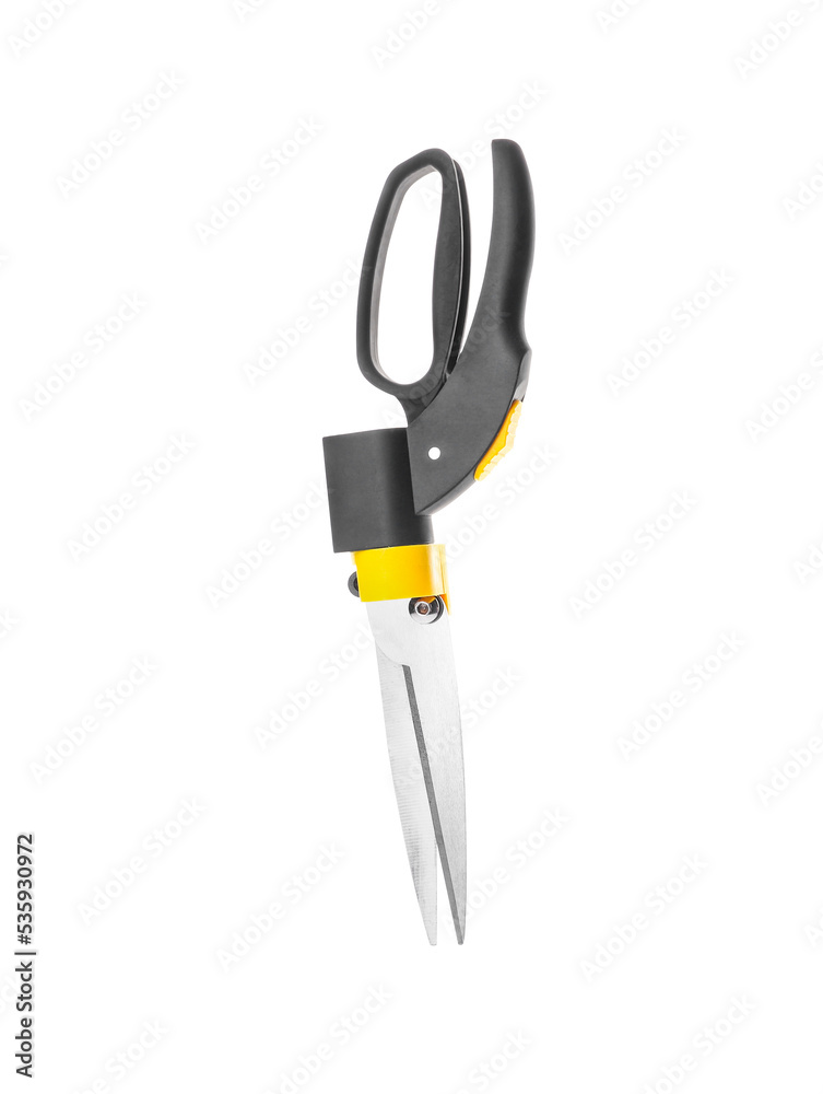 Pruner for gardening on white background Pruner for gardening on white background