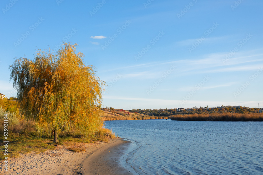 View of beautiful river bank on autumn day