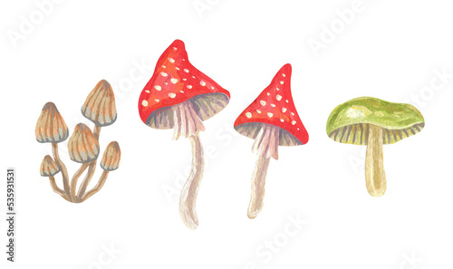 Set of isolated watercolor and gouache elements. Mushrooms. Toadstools. Halloween. Mysticism. Witchcraft attributes. Painting. Color illustration. The print is used for packaging design, fabric.