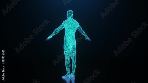 human body 3d rendered photo