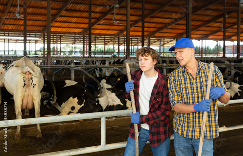 Farmer instructs young helper what to do on a cow farm